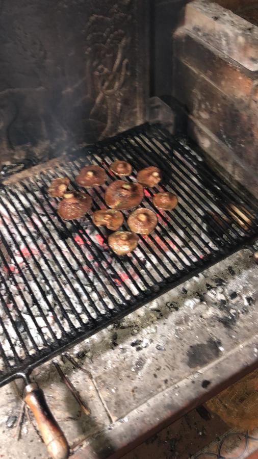 הוילה Ansobell Cal Barral מראה חיצוני תמונה